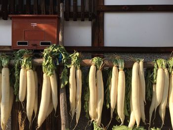 Close-up of vegetables