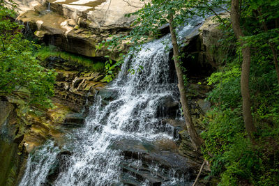 Scenic view of waterfall in forest