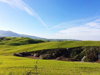 Scenic view of agricultural field against blue sky