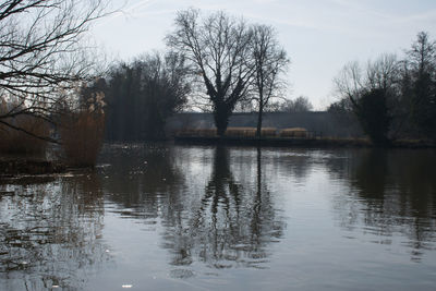 Bare trees by lake against sky