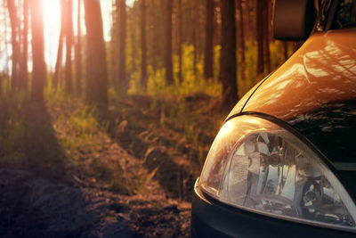 Close-up of car against trees in forest