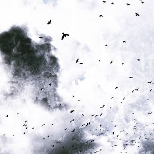 Low angle view of birds flying against cloudy sky