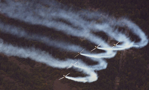 Close-up of bird flying against sky