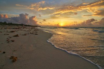 Scenic view of beach during sunset