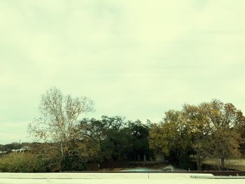 Trees against sky