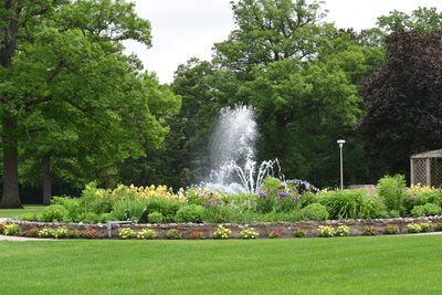 Scenic view of waterfall against trees