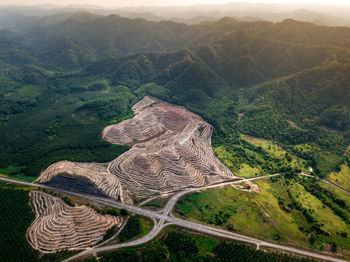 High angle view of trees on mountain