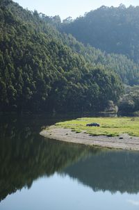 Scenic view of lake in forest against sky