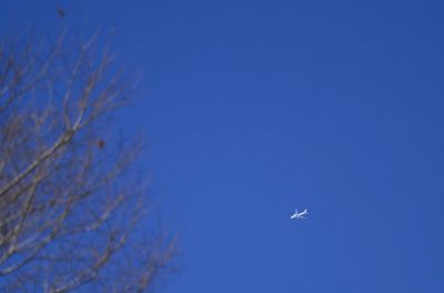 Low angle view of airplane flying against blue sky