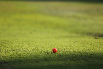 Close-up of golf ball on field