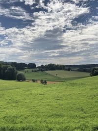 Scenic view of field against sky