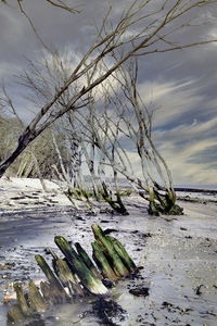 Scenic view of beach against sky during winter