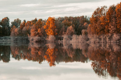 reflection