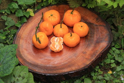 High angle view of orange fruits on wood