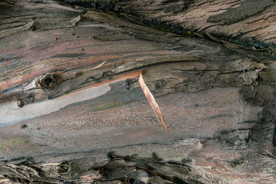 Aerial view of rock formations