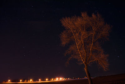 Low angle view of firework display at night
