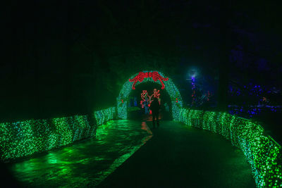 View of illuminated people at night