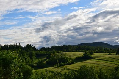Scenic view of field against cloudy sky