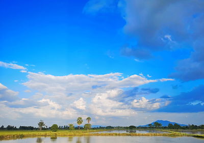 Scenic view of field against blue sky