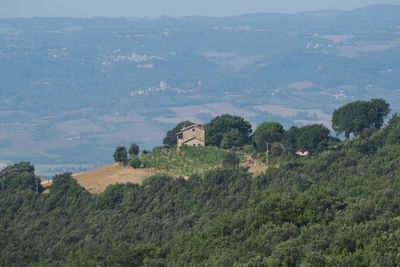 High angle view of trees on landscape against sky