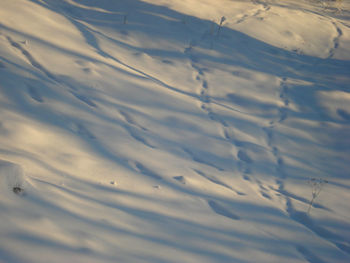 Shadow on snow covered field during winter