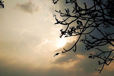 Low angle view of silhouette tree against sky