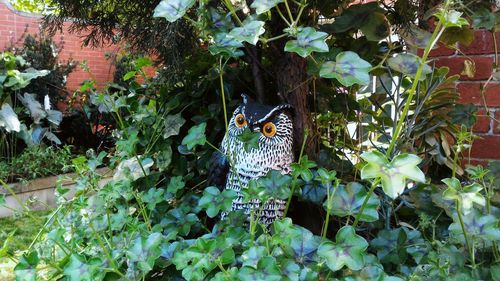 Close-up of bird perching on plant