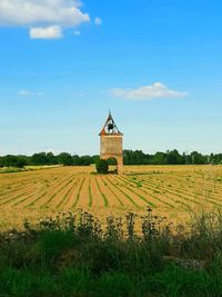 Scenic view of agricultural field against sky