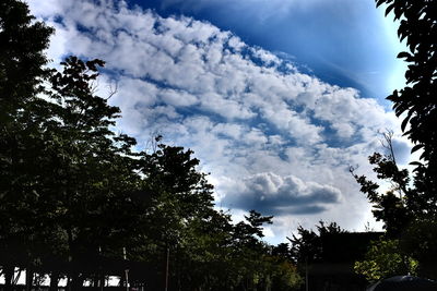 Low angle view of trees against cloudy sky