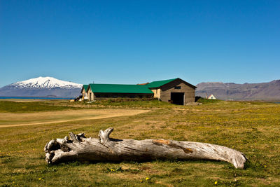 Scenic view of grassy field with house in background 