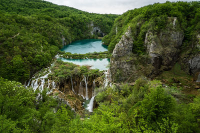 Scenic view of river flowing through rocks