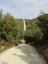 Narrow footpath along trees in park