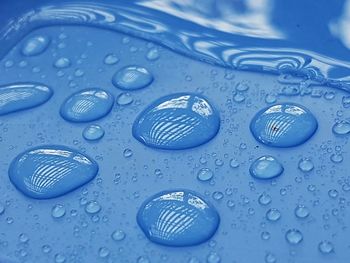 Close-up of water drops on blue surface