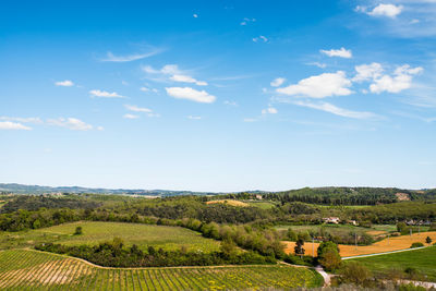 Rural scene against sky in summer