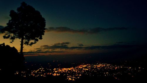 Silhouette trees against sky at night