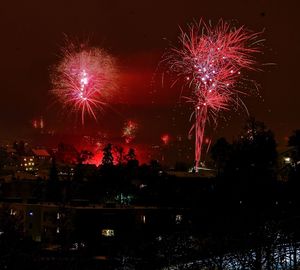 Firework display at night