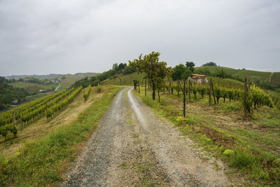 Road amidst trees on field against sky