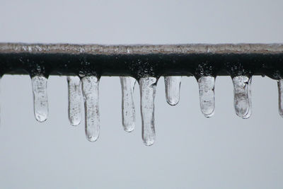 icicle