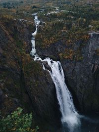 Scenic view of waterfall in forest
