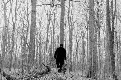 Rear view of man walking on tree trunk in forest