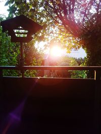 Sunlight streaming through trees in park on sunny day