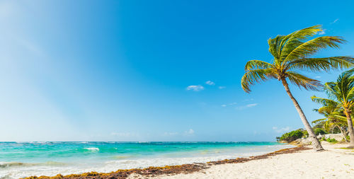 Scenic view of beach against blue sky