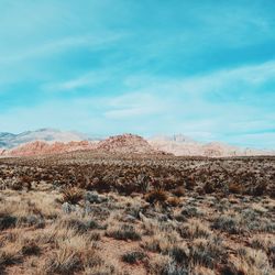 Scenic view of landscape against cloudy sky