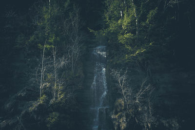 Scenic view of waterfall in forest