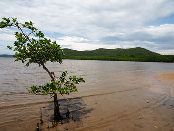 Scenic view of lake against sky