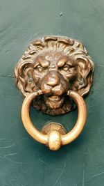 Close-up of cat on door