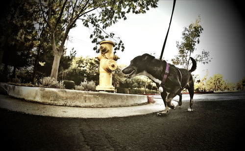 Low angle view of statue