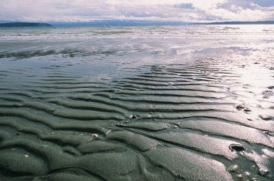 Surface level of wet sand on beach against sky