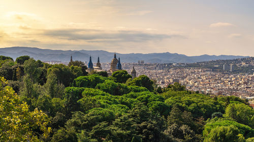 View of trees and buildings against sky