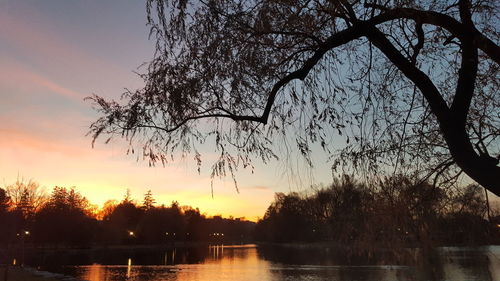 Silhouette trees by lake against sky during sunset